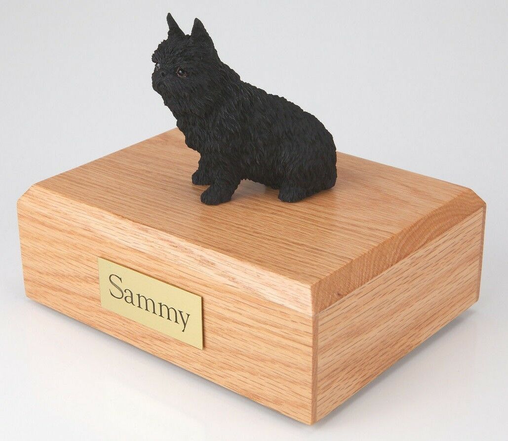 Brussels Griffon Pet Funeral Cremation Urn Available in 3 Diff Colors & 4 Sizes