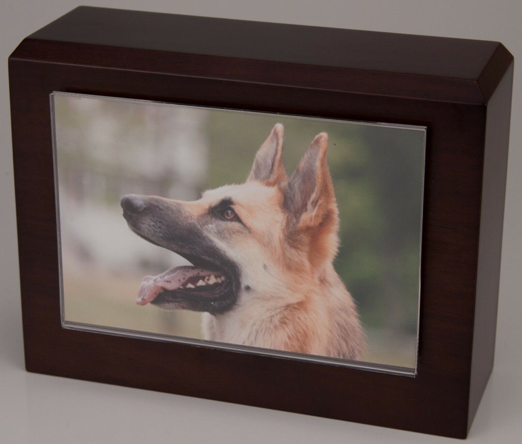 Small 85 Cubic Inches Walnut Pet Photo Urn for Ashes with Engravable Nameplate