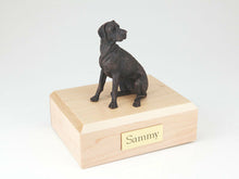 Load image into Gallery viewer, Great Dane Bronze Pet Funeral Cremation Urn Available in 3 Diff Colors  4 Sizes
