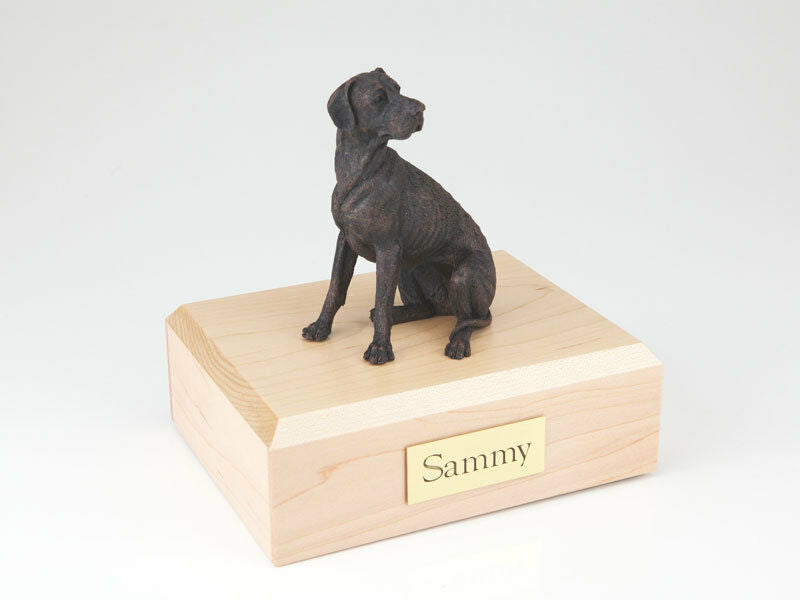 Great Dane Bronze Pet Funeral Cremation Urn Available in 3 Diff Colors  4 Sizes