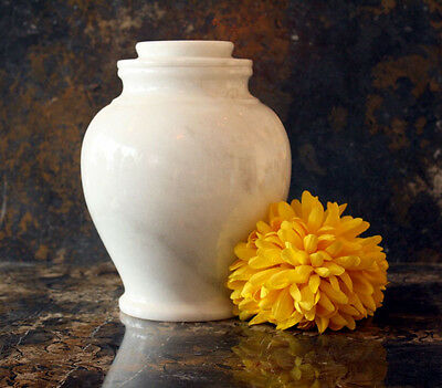 QueenVintageArt Creamation Memorial Urn Elegant Best retailer Beautiful Yellow Color Urn Cheeta Adult and Size Urn