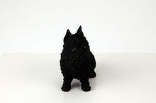 Load image into Gallery viewer, Brussels Griffon Pet Funeral Cremation Urn Available in 3 Diff Colors &amp; 4 Sizes
